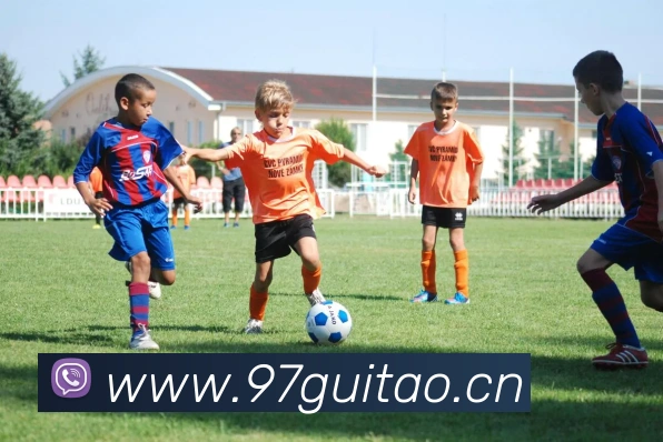 ayx.cn官网入口发展历程